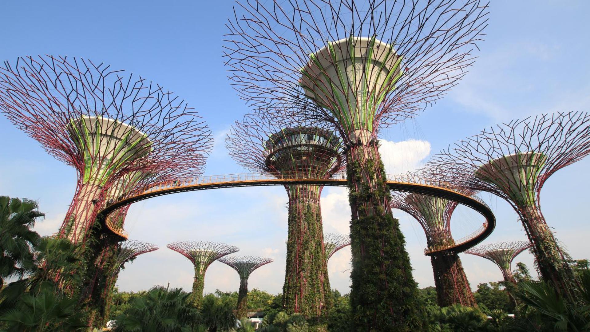 Royal Plaza On Scotts Singapura Exterior foto The Supertree Grove